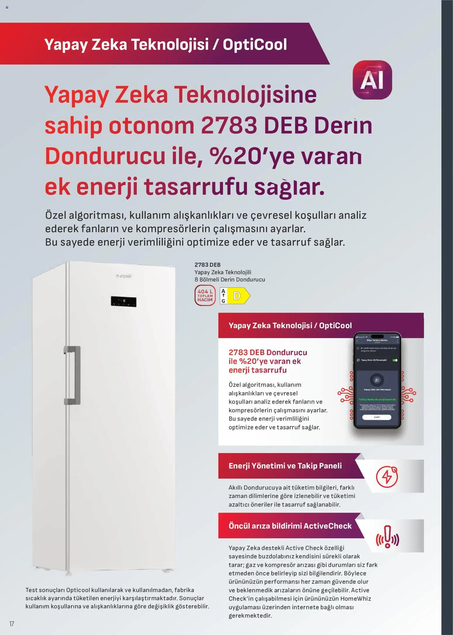 Sayfa 17